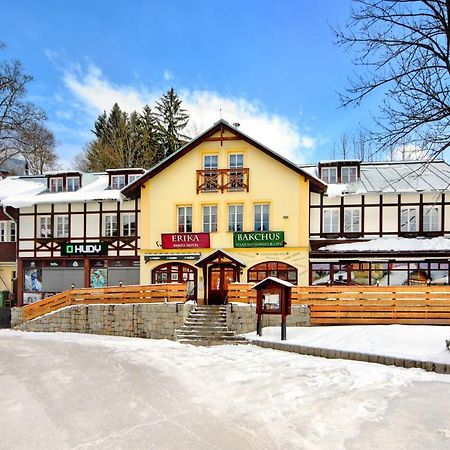 Hotel Erika Špindlerŭv Mlýn Esterno foto